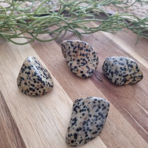 Dalmatier jaspis