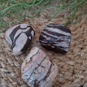 Zebra jaspis bruin
