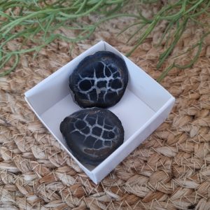 Septarie geode paar
