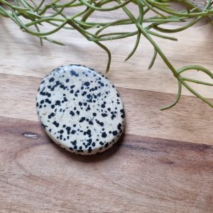 Dalmatier jaspis zaksteen