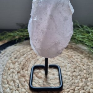 Rozenkwarts op standaard