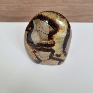 Septarie