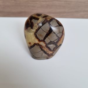 Septarie