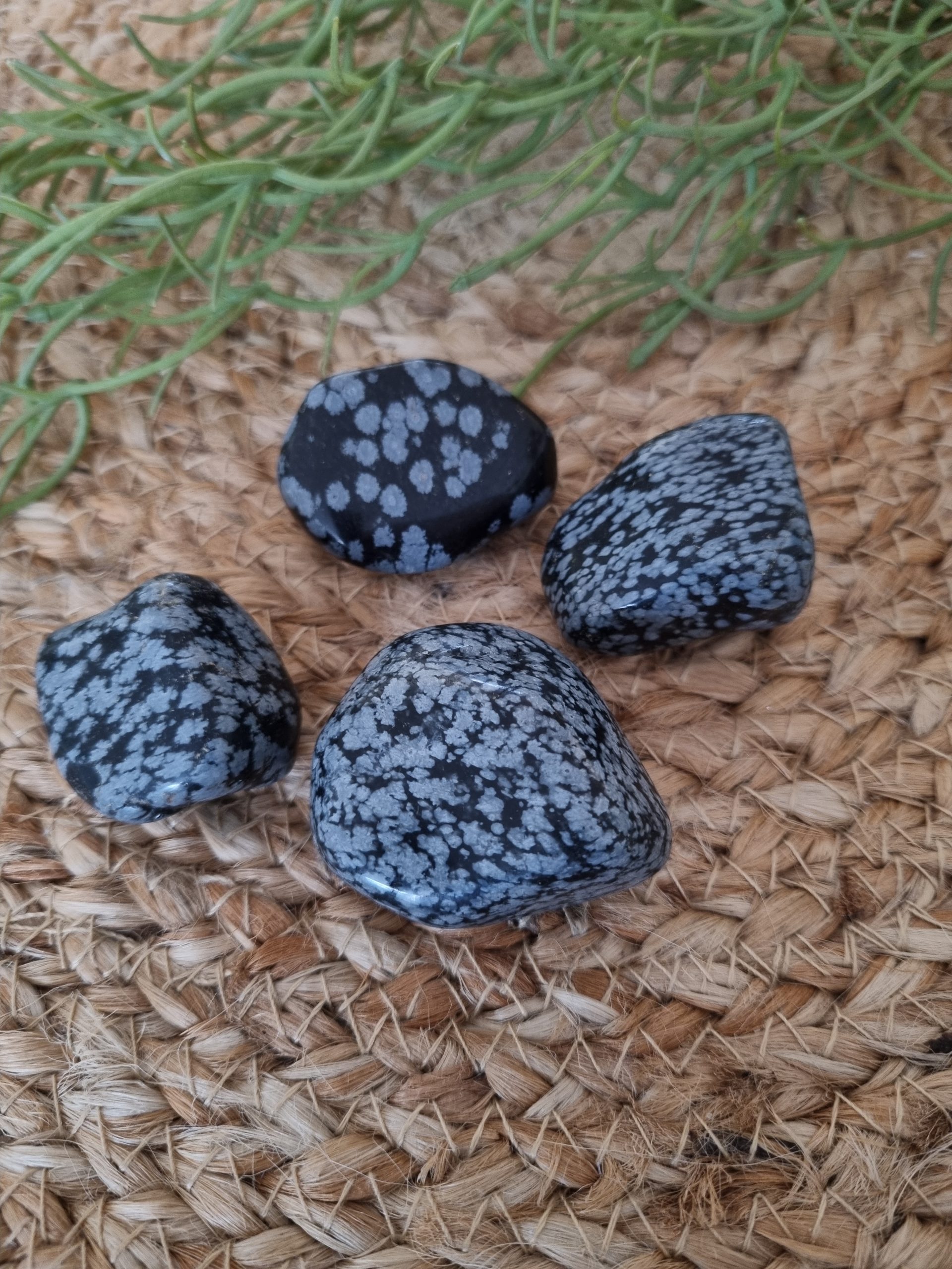 Sneeuwvlok obsidiaan