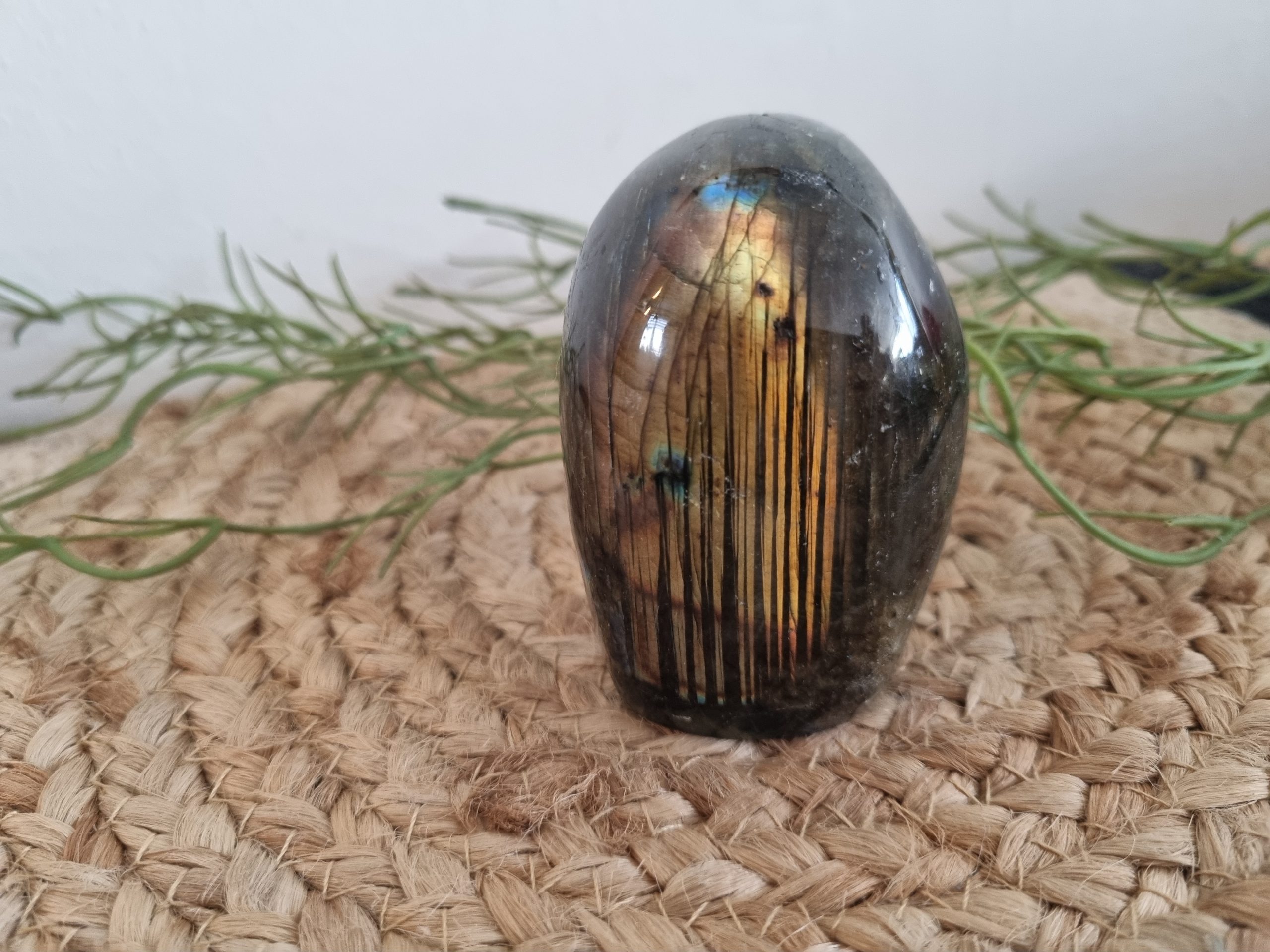 Half geslepen labradoriet