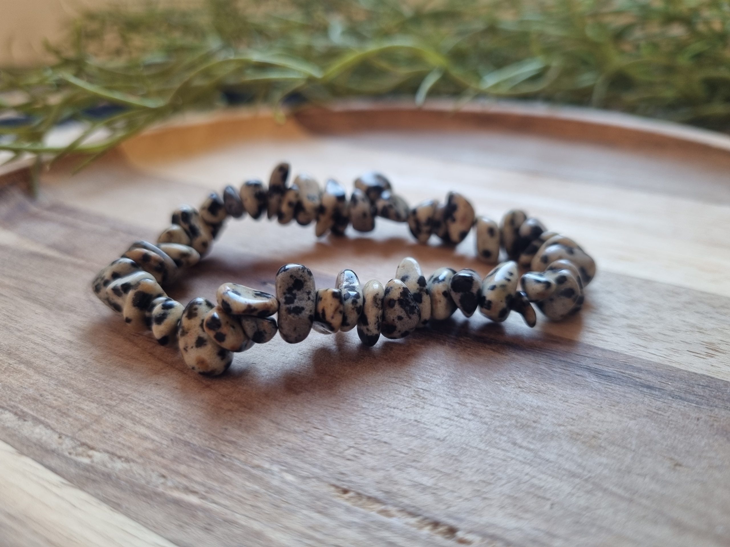 Dalmatier jaspis splitarmband