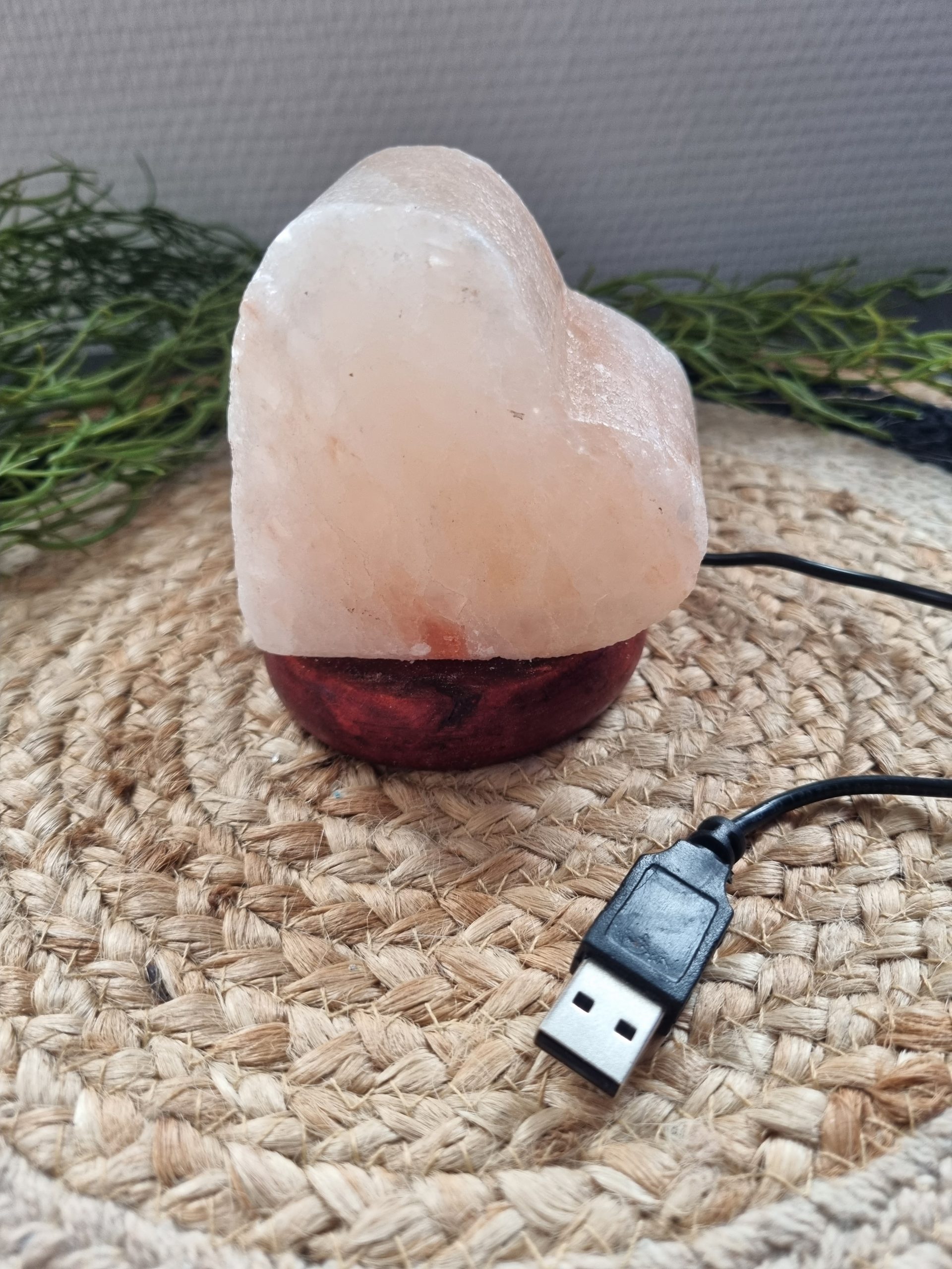 Zoutlamp hart