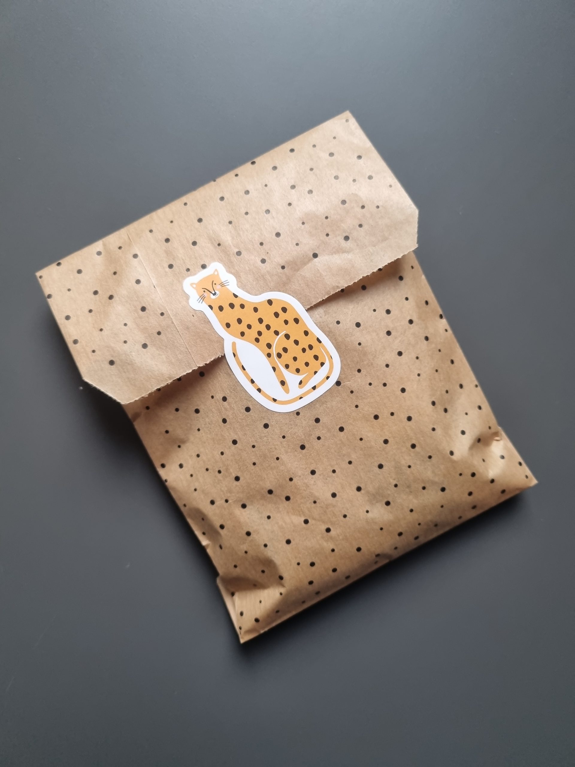 Mysterybag trommelstenen