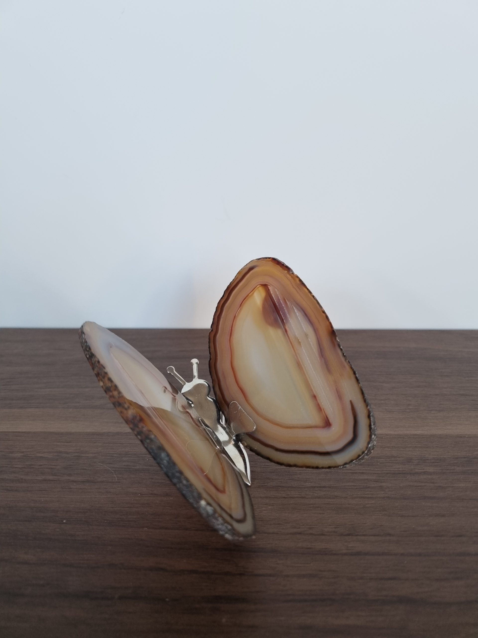 Agaat vlinders - Afbeelding 5